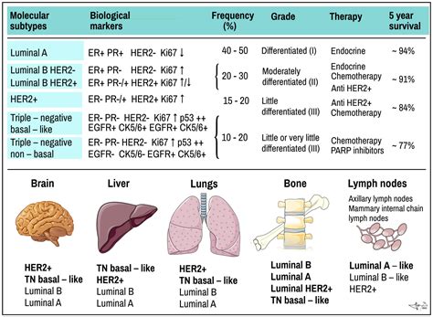 marker tumoral plamani|Understanding Tumor Marker Results: What Do the。